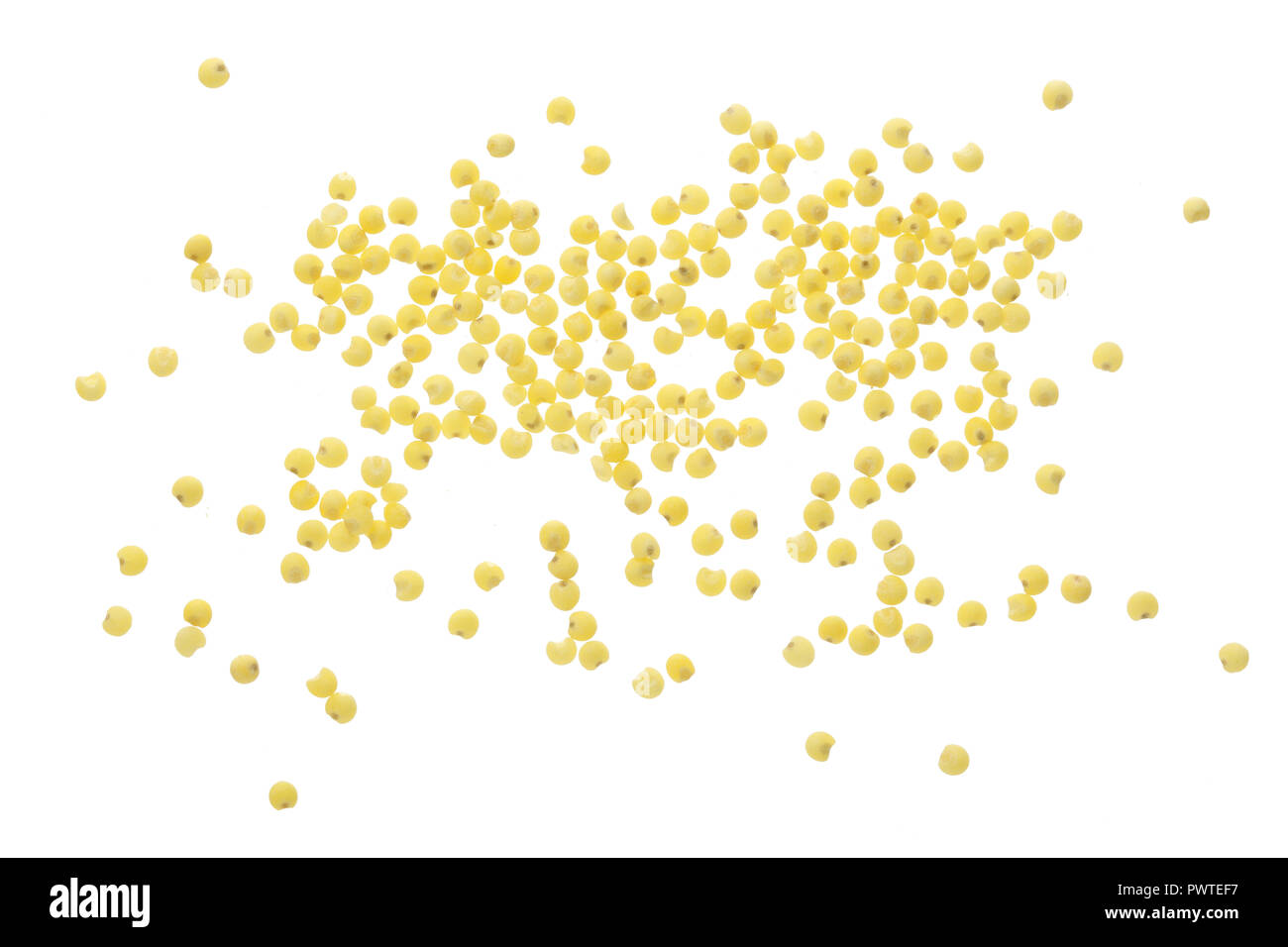 Millet isolé sur fond blanc. Vue d'en haut. Banque D'Images
