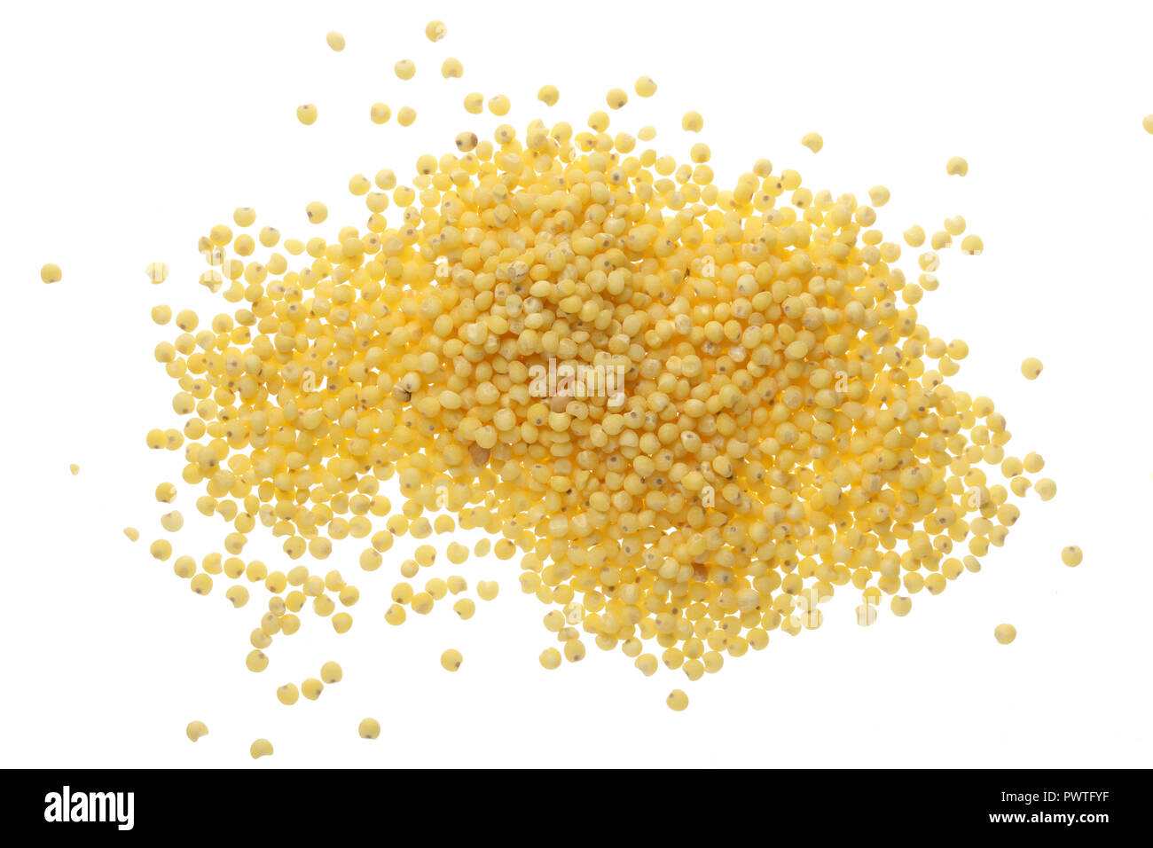 Millet isolé sur fond blanc. Vue d'en haut. Banque D'Images