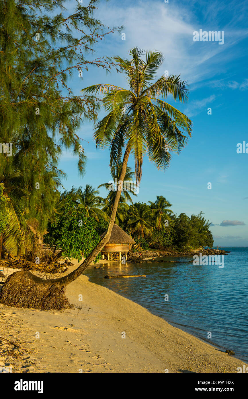 Matira beach dans la lumière du soir, Bora Bora, Polynésie Française Banque D'Images