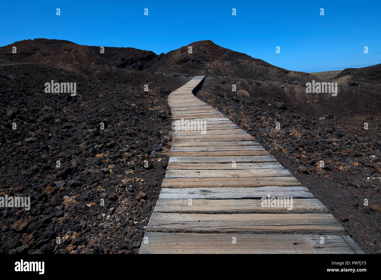 Sentier à bord par champ de lave noire, Punta de Teno, Tenerife, Espagne Banque D'Images