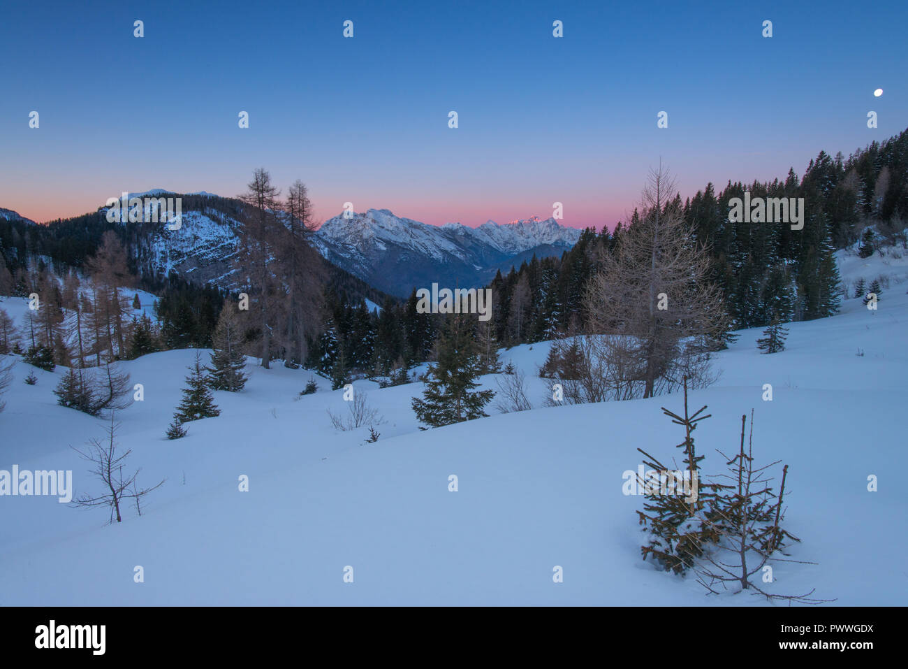 Paisible, serein avec sunrise alpenglow sur les Alpes italiennes. Premier jour de l'année, de la neige fraîche, des couleurs vives et des montagnes aux sommets enneigés au milieu des arbres. Banque D'Images