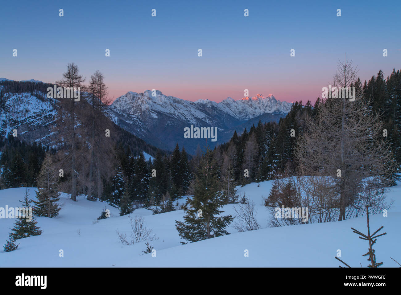 Paisible, serein avec sunrise alpenglow sur les Alpes italiennes. Premier jour de l'année, de la neige fraîche, des couleurs vives et des montagnes aux sommets enneigés au milieu des arbres. Banque D'Images