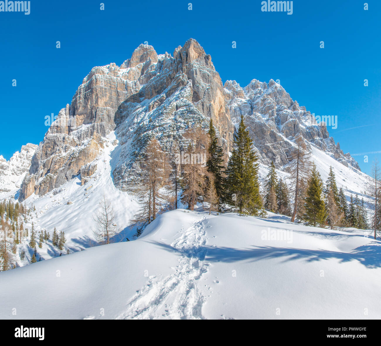 Mur de montagnes imposantes dans les Alpes italiennes, montagnes aux sommets enneigés, des traces dans la neige menant à la forêt. La raquette en hiver. Banque D'Images