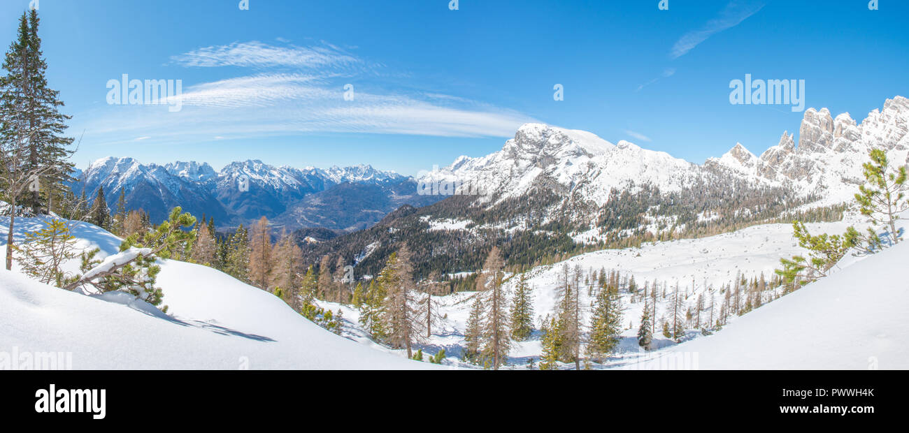 Vue panoramique d'Agordo et la vallée, la raquette dans une parfaite journée d'hiver. Neige fraîche, pins, forêt, ciel sans nuages. Banque D'Images