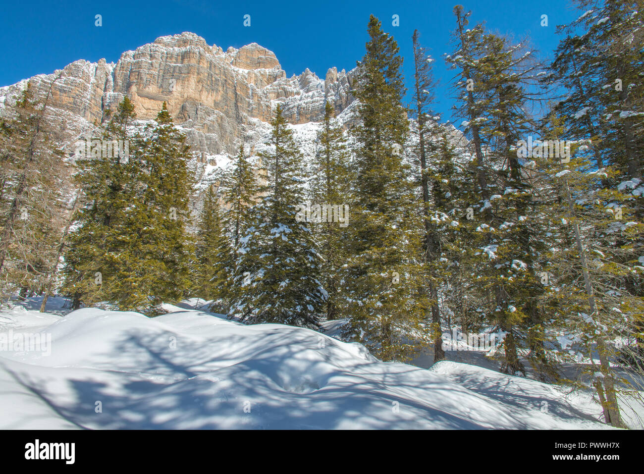 Moiazza face sud de la montagne exposé au soleil dans un ciel journée d'hiver. Beaucoup de neige fraîche sur le terrain, grande randonnée en raquettes dans la forêt. Banque D'Images