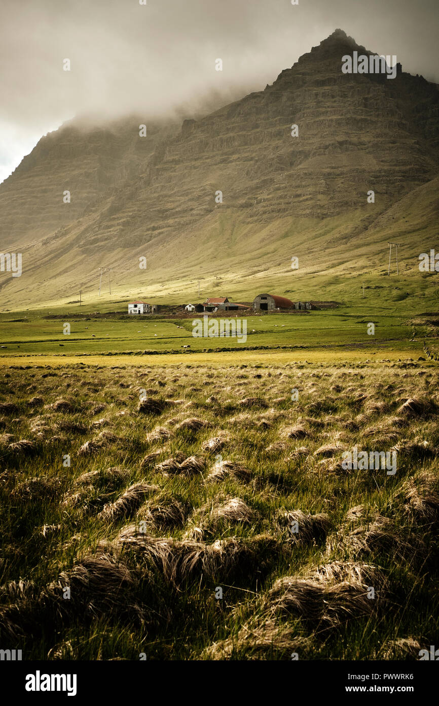 Une ferme dans la plaine et montagne, paysage de sud-est de l'Islande. Banque D'Images