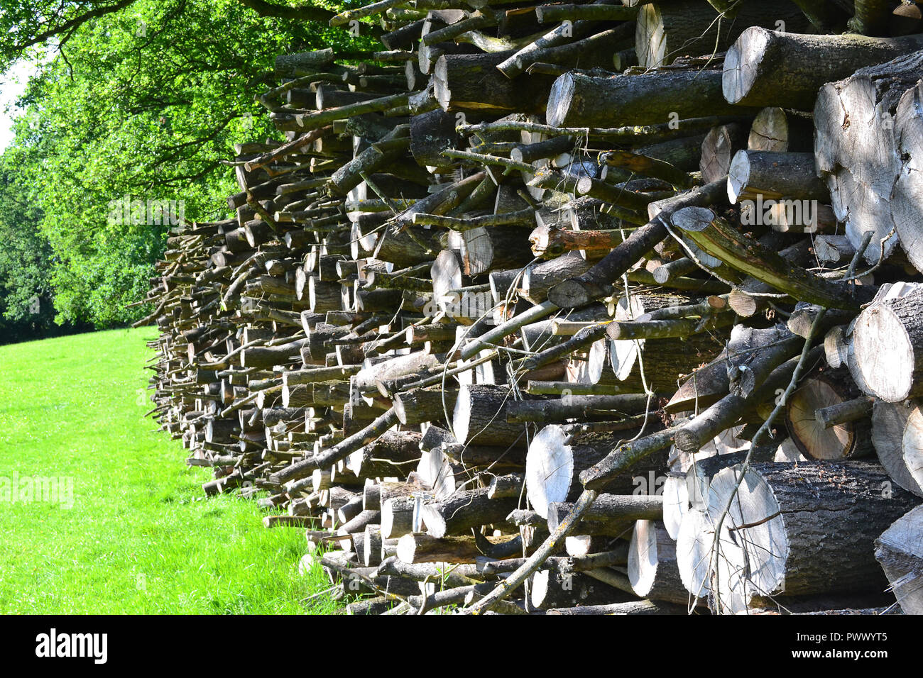 Coupe de bois empilés logs placé dans une zone de bord, Bough Beech, Edenbridge, Kent, Angleterre, Europe Banque D'Images