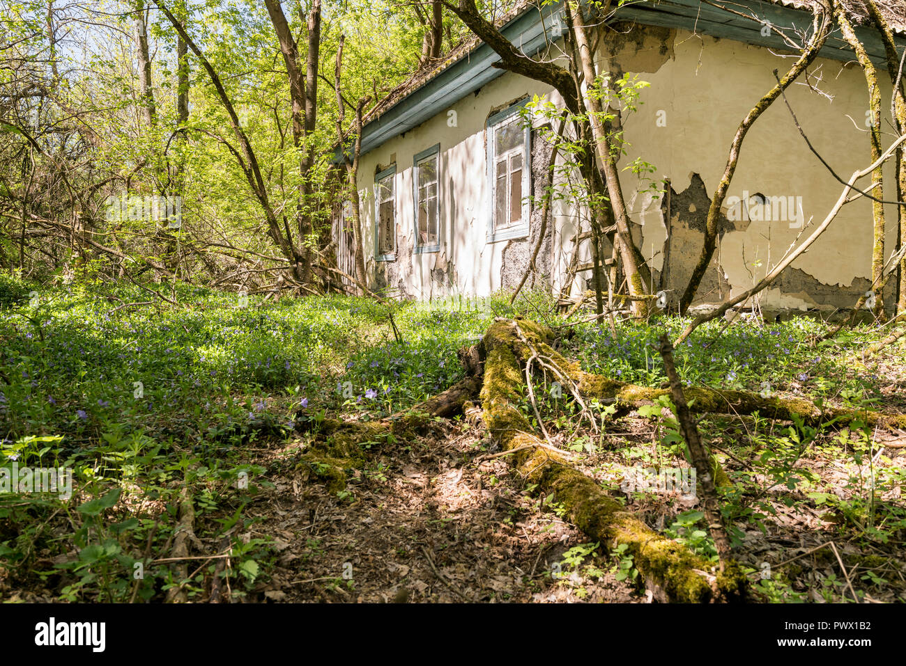 L'extérieur de la petite maison abandonnée, Tchernobyl, l'Ukraine. Banque D'Images