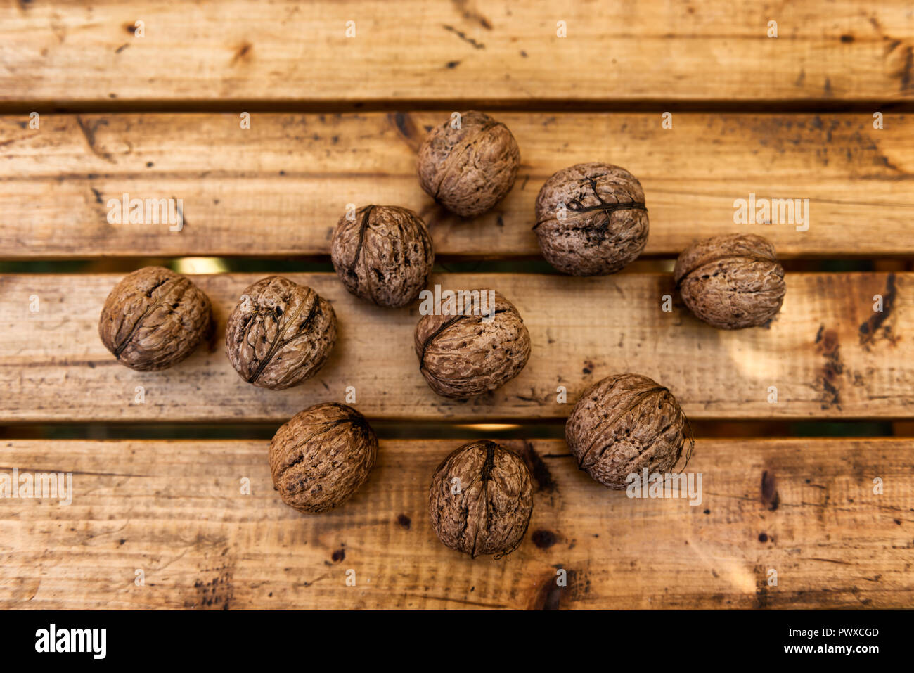 Noix biologiques à partir d'un petit jardin sur une table en bois rustique Banque D'Images