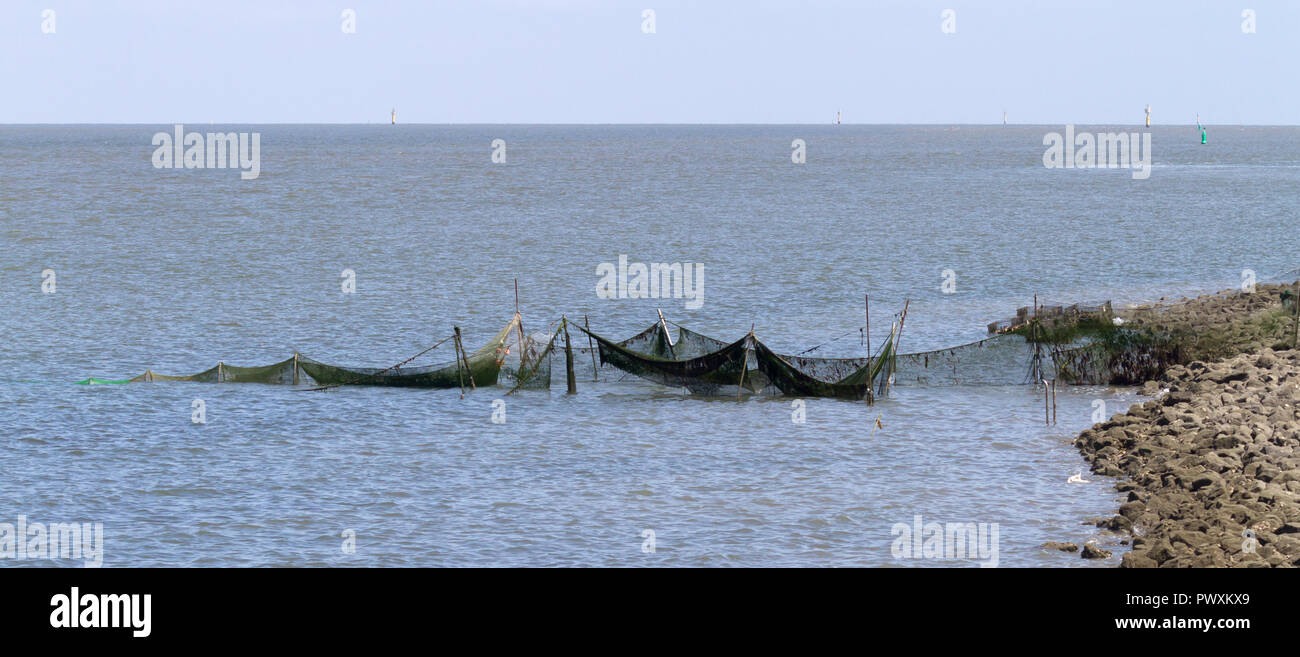 Filet de pêche dans la mer - côte néerlandaise Banque D'Images