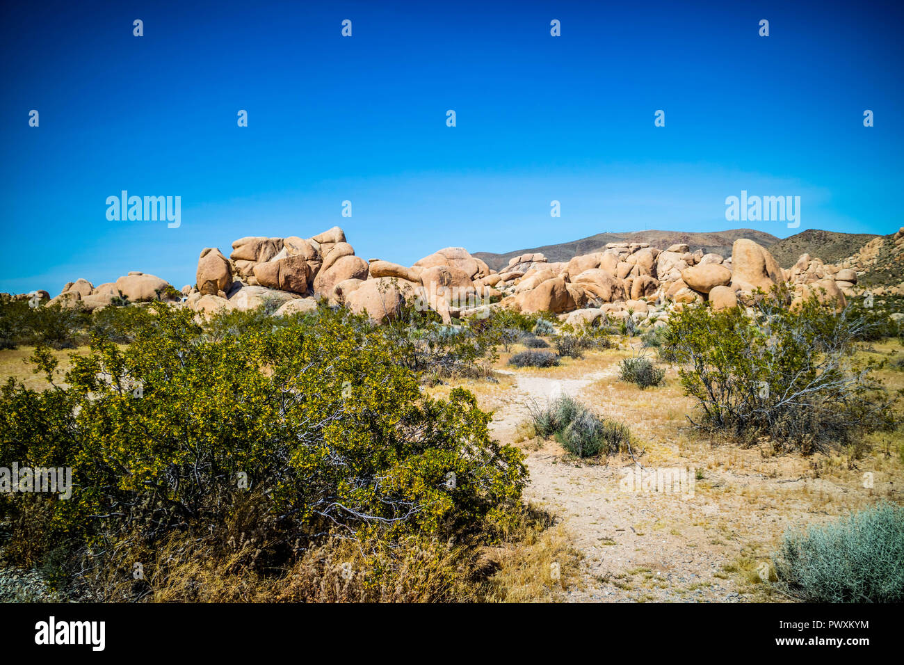 L'équilibre entre les roches du désert dans la région de Joshua National Park, Californie Banque D'Images