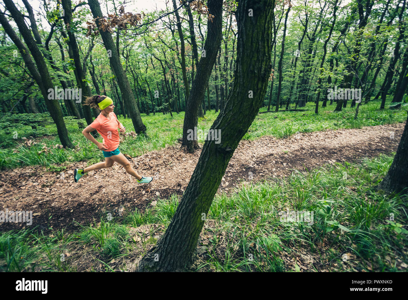 Jeune femme tournant en vert forêt. La formation de sport d'endurance. Femme trail runner course cross-country. Concept Sport et fitness en plein air dans la nature Banque D'Images