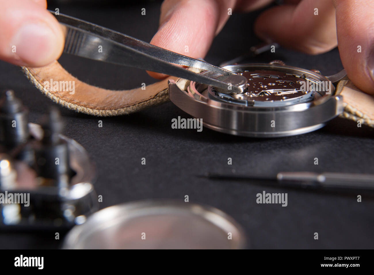 Close up de remplacement d'une pile de montre avec des outils d'horloger Banque D'Images