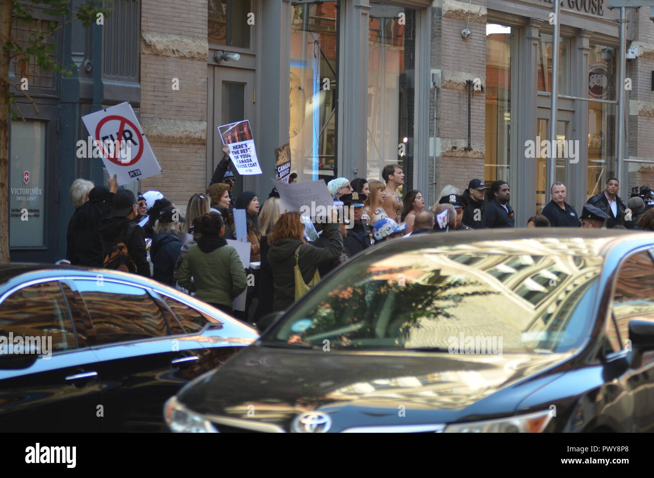 New York, USA. 18 octobre, 2018. Aujourd'hui les droits des animaux, les manifestants ont montré jusqu'à l'extérieur de la nouvelle boutique Canada Goose à Soho, New York City. Avec la baisse des températures, les New-yorkais et commencer à magasiner pour manteaux d'hiver, les gens pour le traitement éthique des animaux (PETA) a organisé cette manifestation. Les manifestants croient que le Canada Goose vestes d'hiver vient de coyotes sauvages qui ont été capturés, tués, et écorchés. Credit : Ryan Rahman/Alamy Live News Banque D'Images