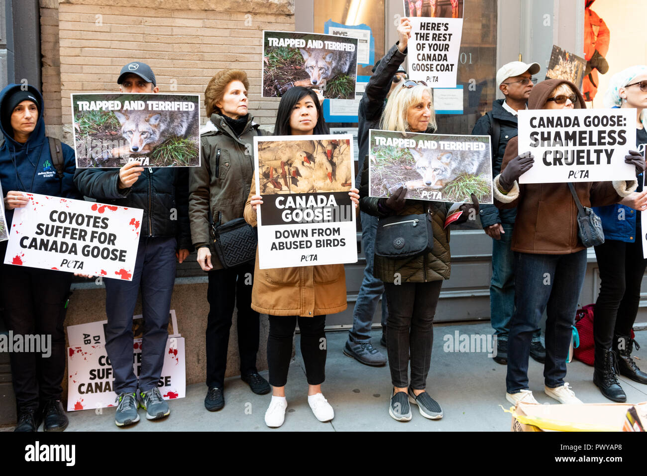 Les protestataires sont vus holding posters pendant la manifestation. Protestation de PETA, les gens pour le traitement éthique des animaux à l'extérieur de l'oie du Canada store sur Wooster Street. Banque D'Images