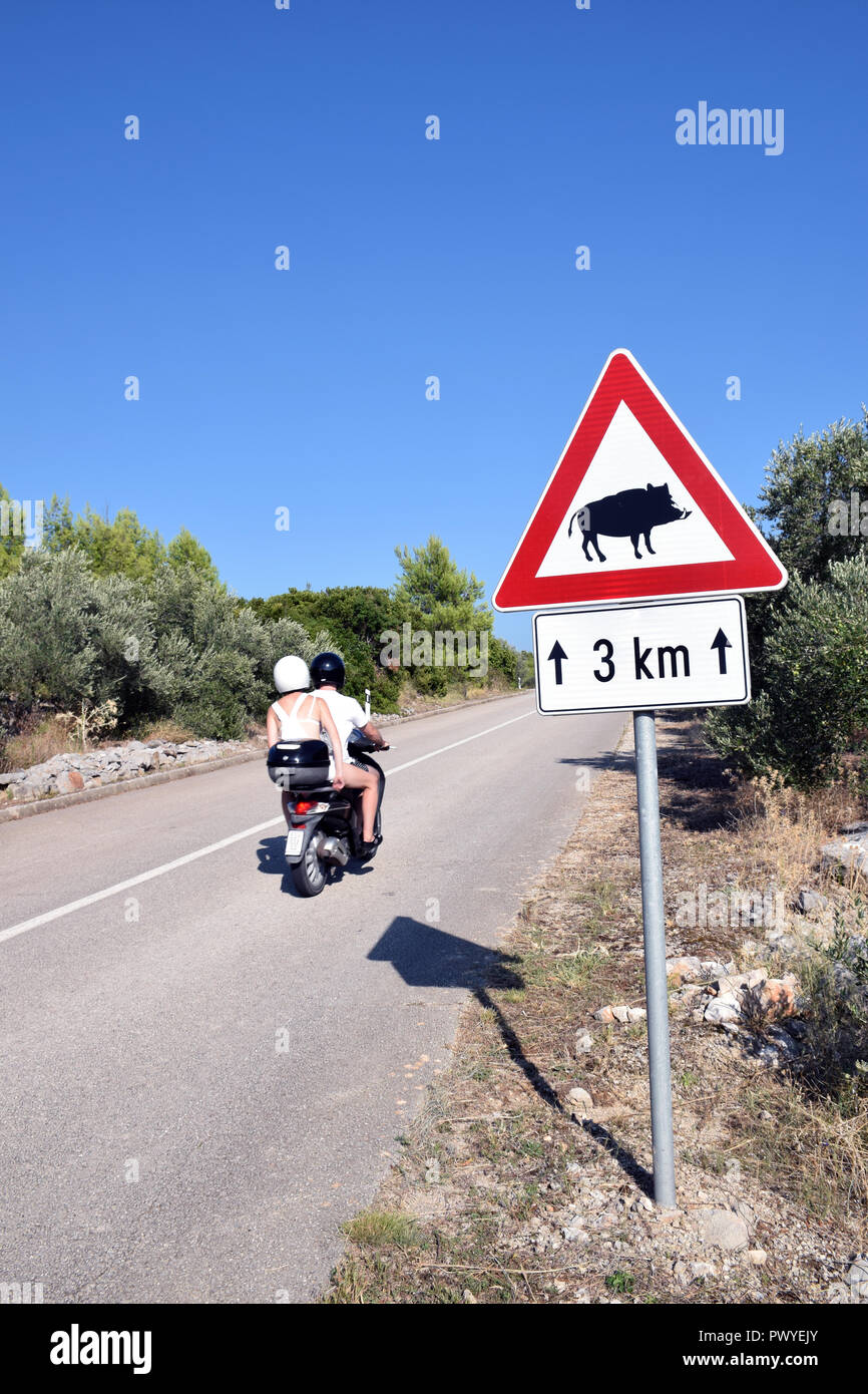 Avertissement de sanglier road sign, l'île de Korcula, Croatie, Sep 2018 Banque D'Images