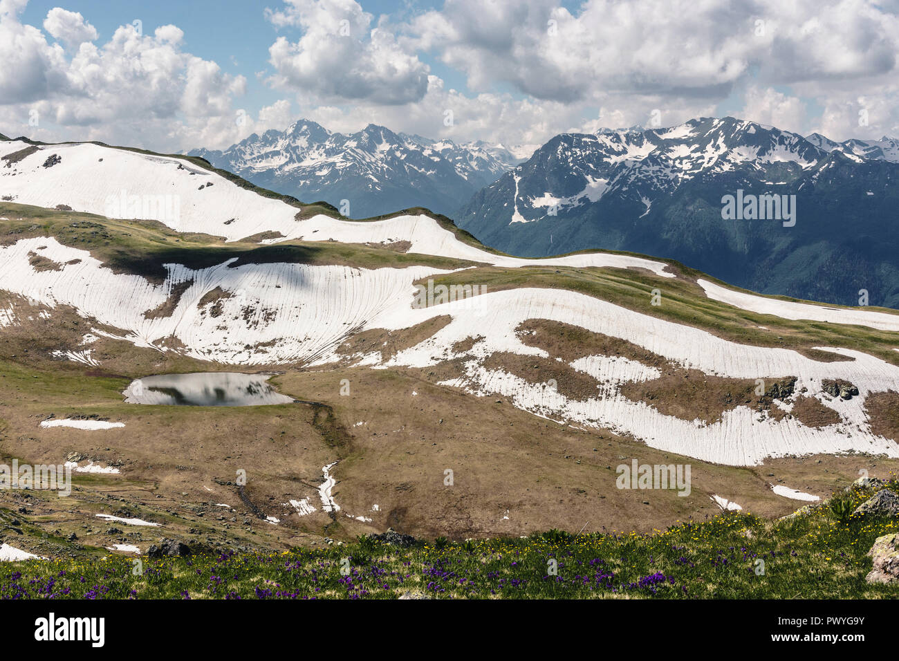 Les alpages et les clairières de fleurs sur fond de montagnes enneigées. Scène idyllique de hautes montagnes, hautes montagnes au printemps, dans le se Banque D'Images