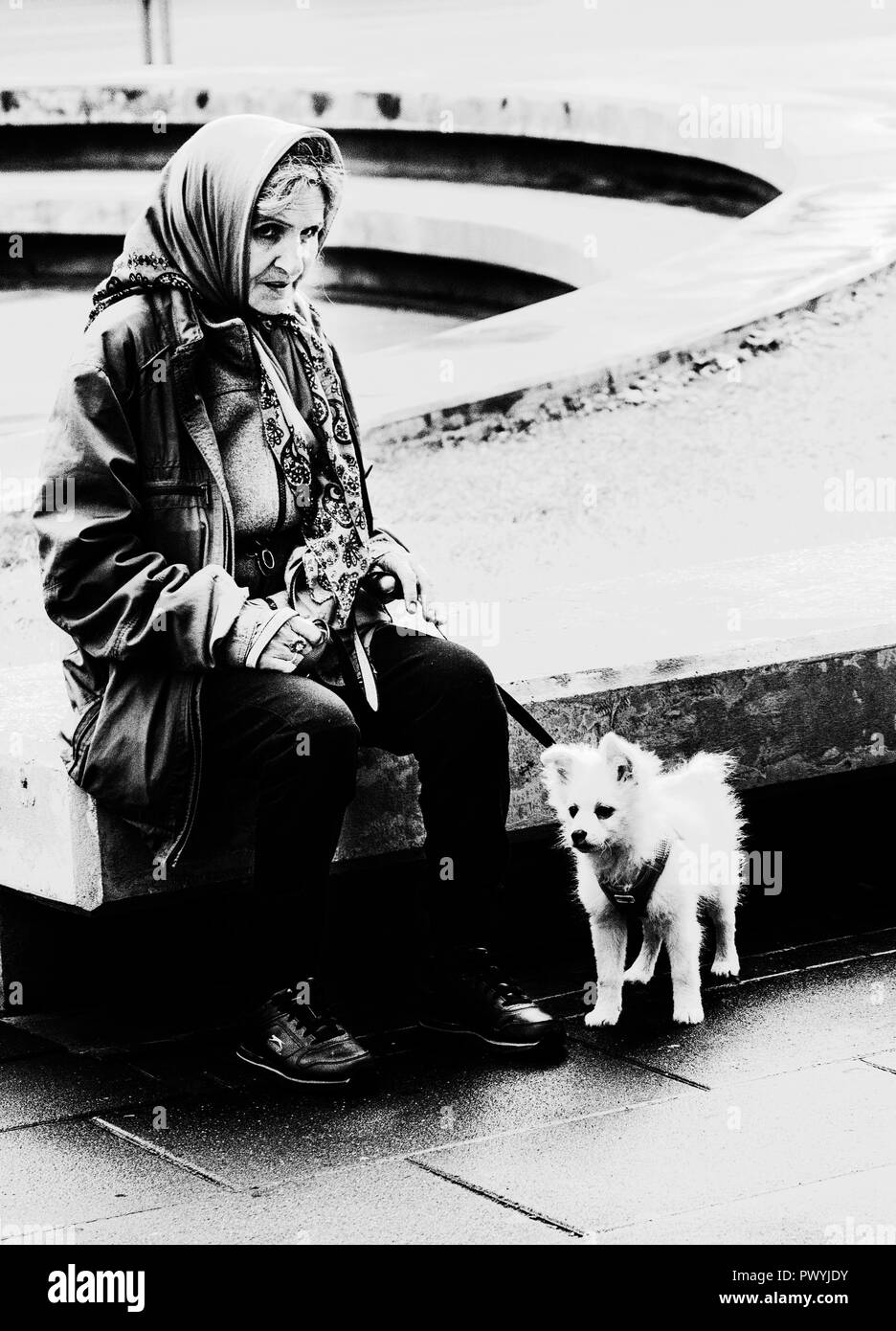 Vieille dame et son chien, Sarajevo, Bosnie et Herzégovine Banque D'Images