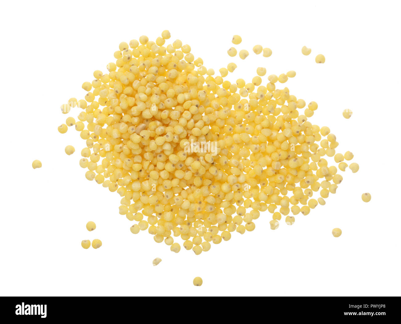 Millet isolé sur fond blanc. Vue d'en haut. Banque D'Images