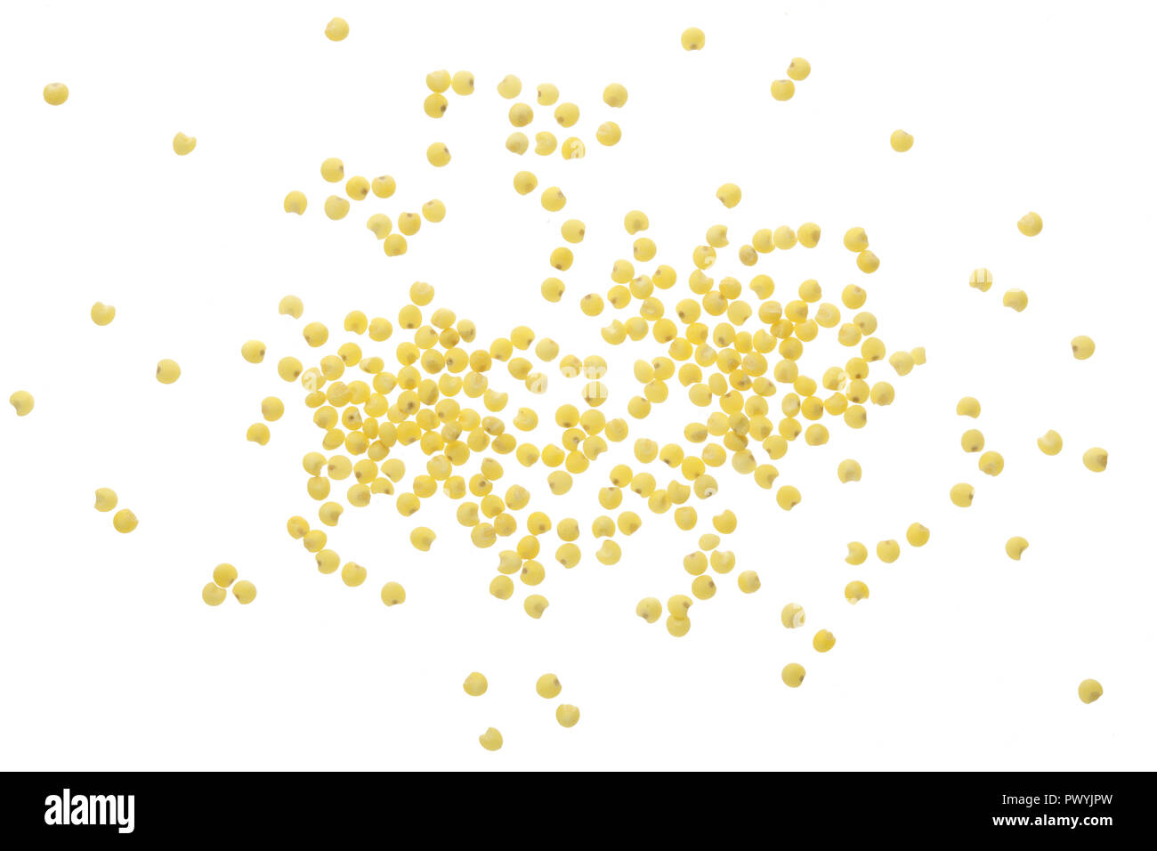 Millet isolé sur fond blanc. Vue d'en haut. Banque D'Images