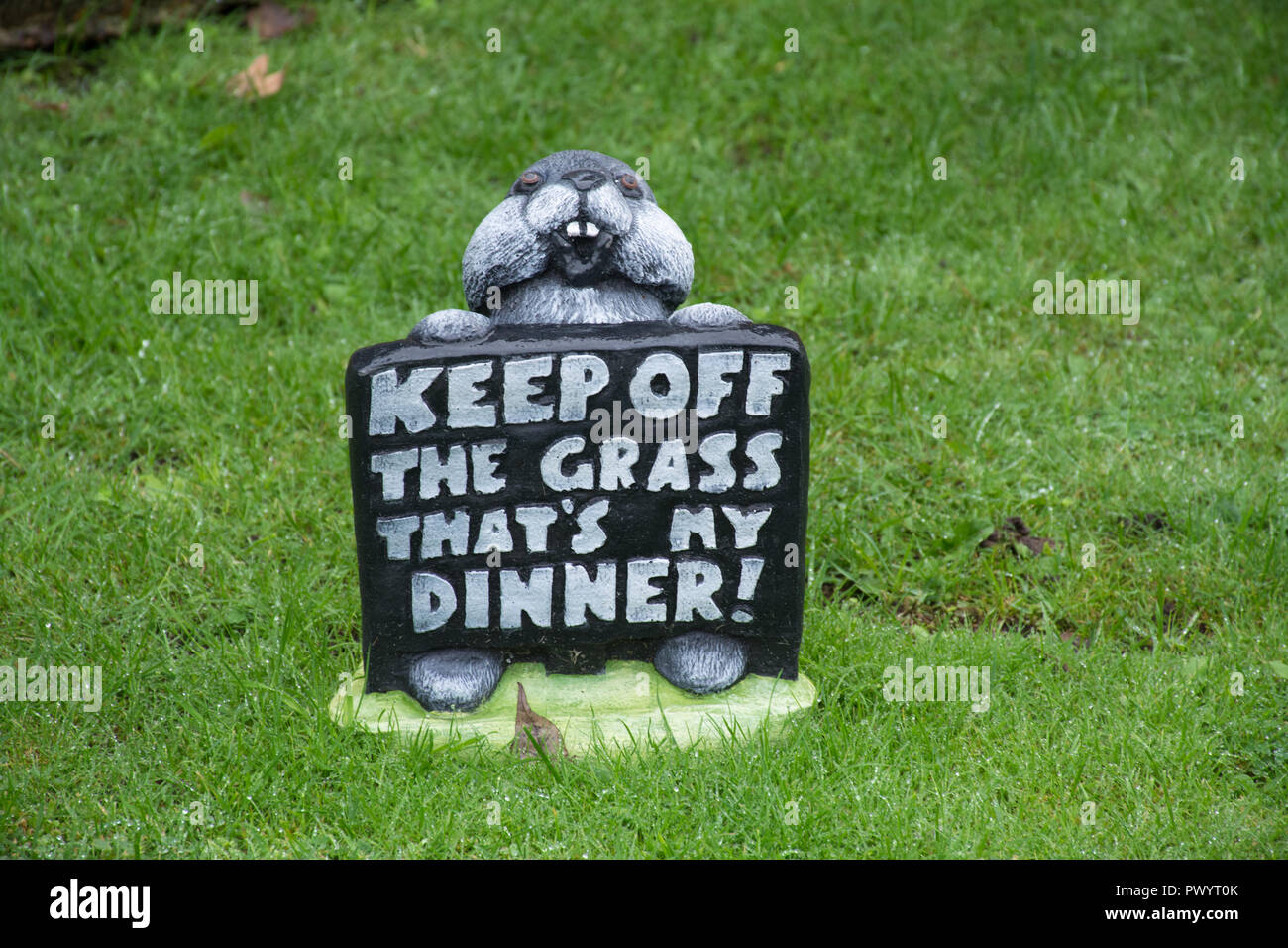 Lapin mignon nouveauté avec l'Ornement de jardin mots Restez à l'écart l'herbe c'est mon dîner ! Banque D'Images