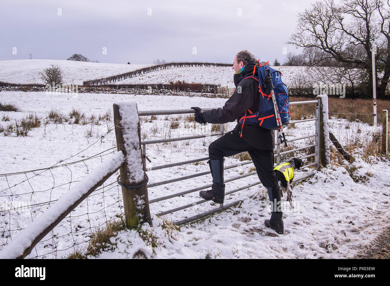 Série de photographies de snowy hillwalk dans le Kilpatrick hills avec des chiens. Banque D'Images