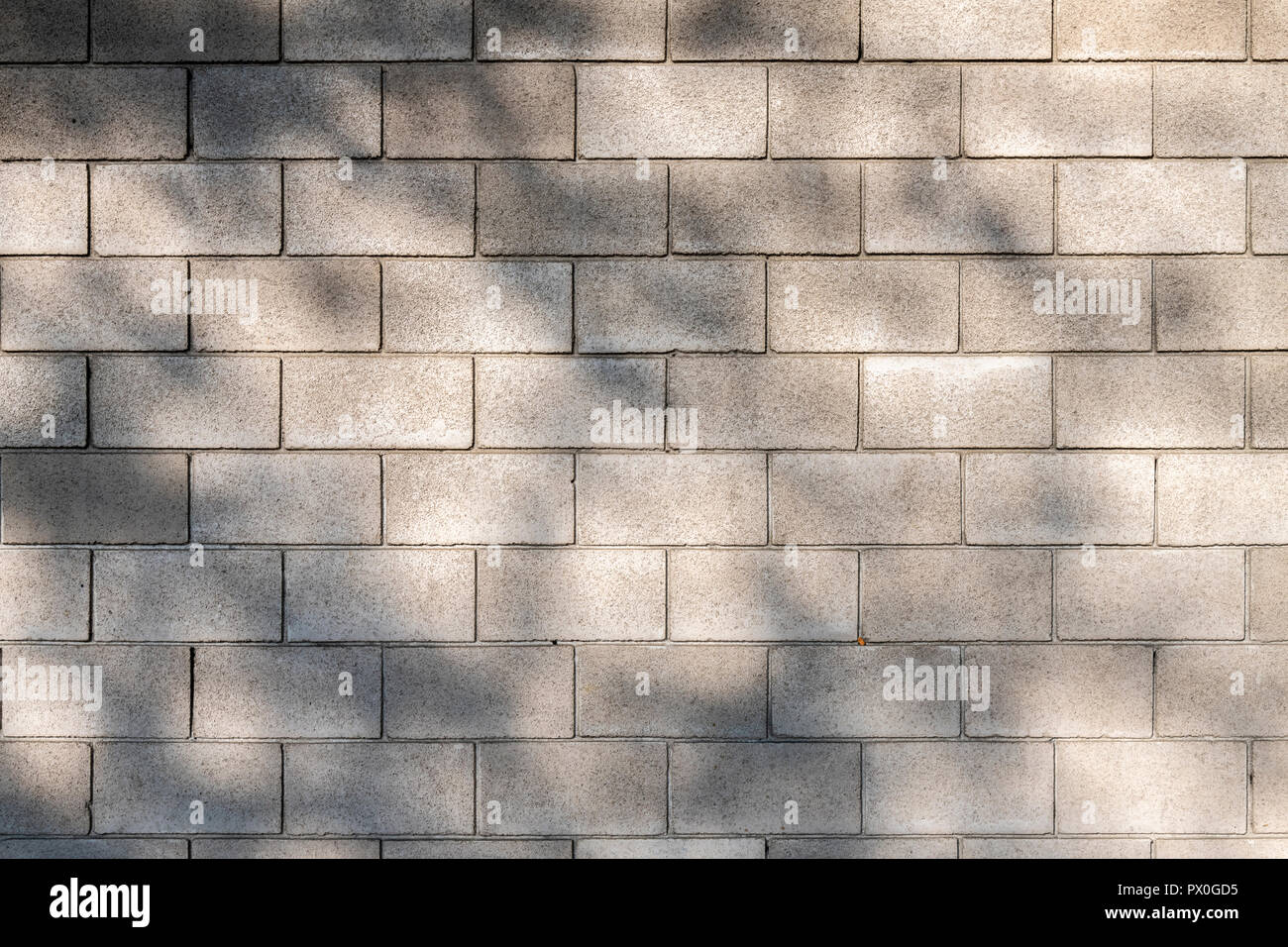 Mur en blocs de béton gris avec des ombres sur un arbre. Tourné à l'hôtel Tower à St Katherine's Dock près de Tower Bridge à Londres Banque D'Images