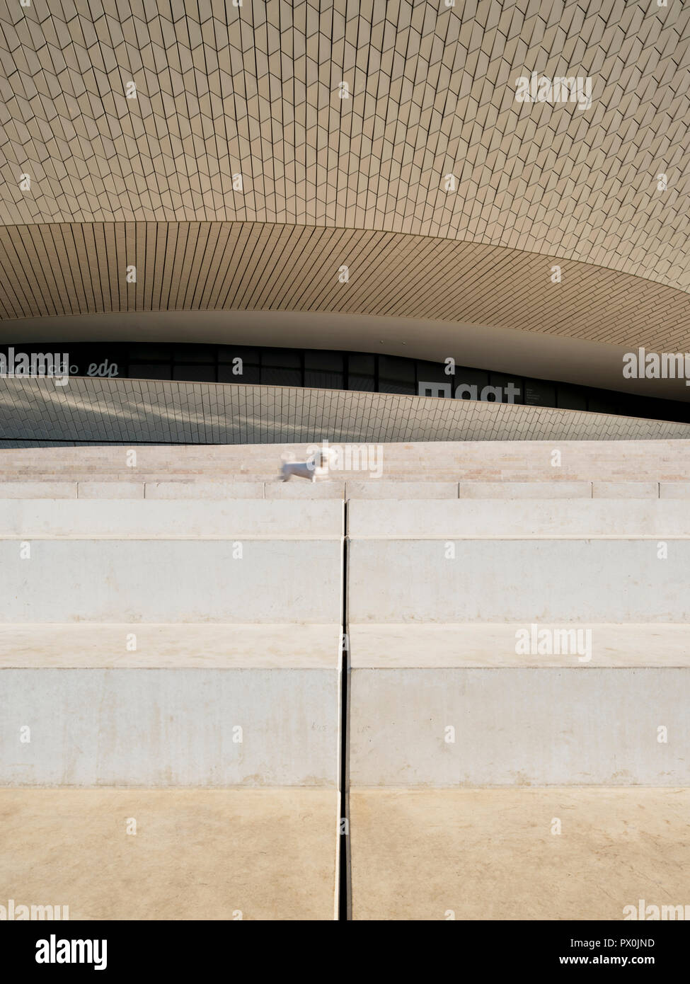 Vue extérieure de la MAAT - Musée d'art, d'architecture et de la Technologie, Lisbonne, Portugal. Petit chien blanc sur les étapes d'une terrasse. Banque D'Images
