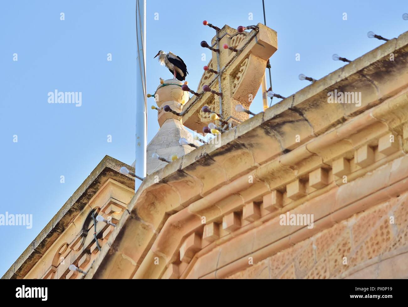 Cigogne blanche Ciconia ciconia, migration, sur les îles maltaises. Grand oiseau posé sur l'équilibrage de sommet d'un haut clocher de l'Église catholique, Birzebbuga. Banque D'Images
