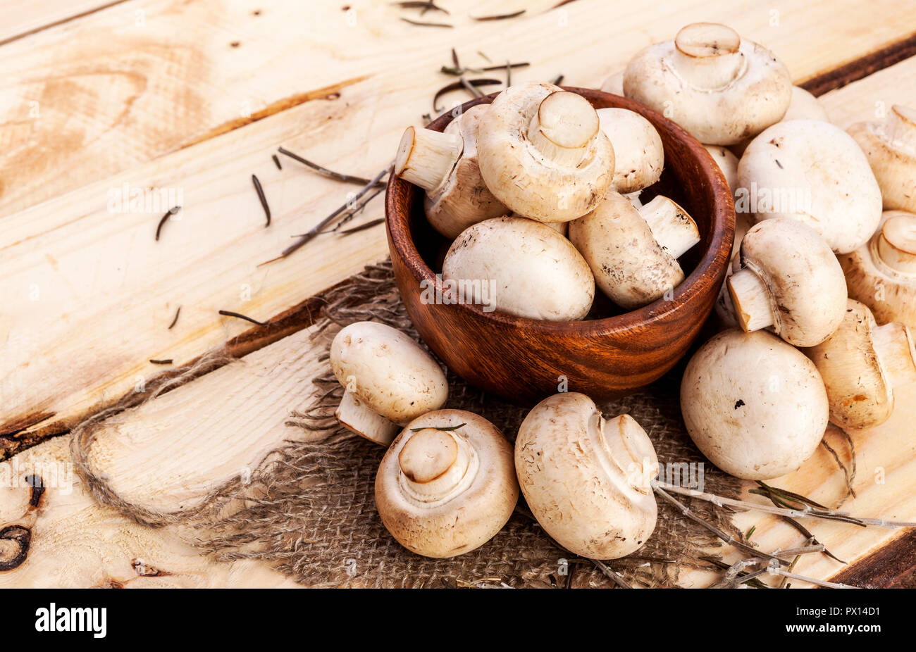 Champignon champignons frais sur table en bois. Copy space Banque D'Images