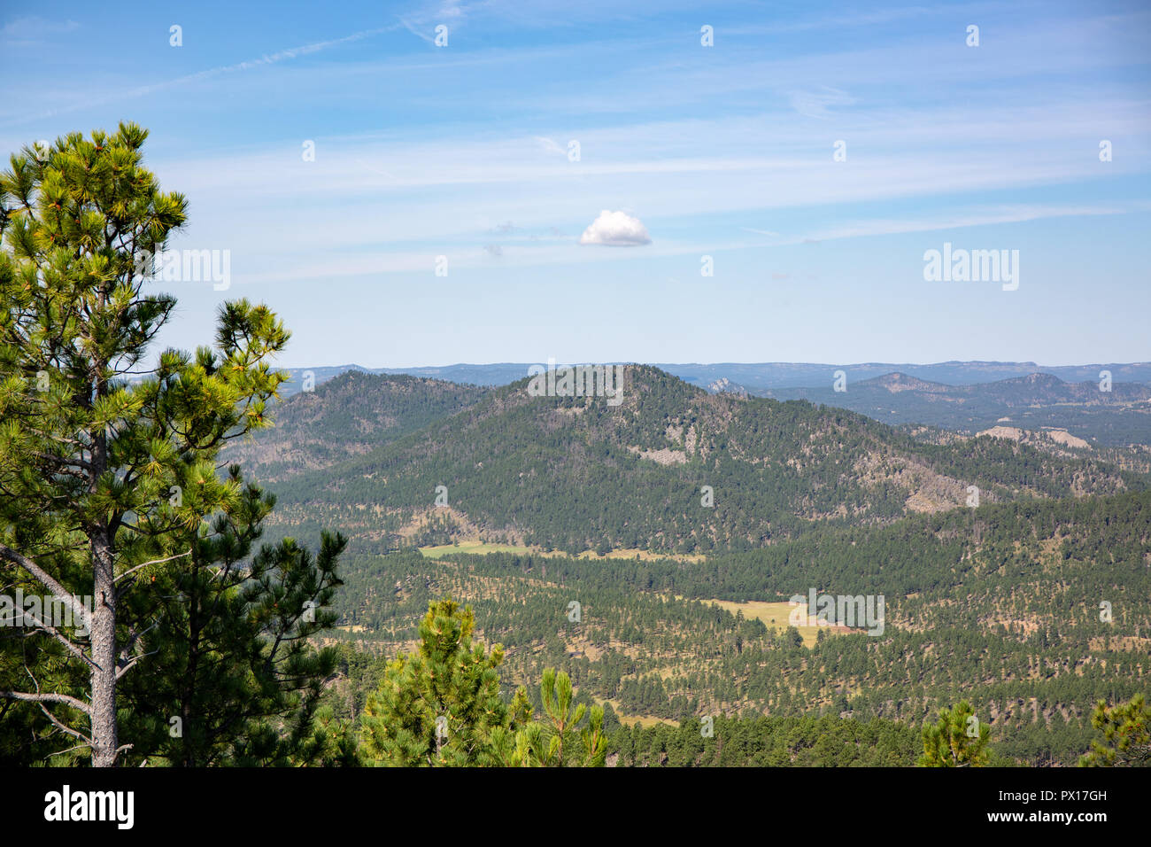Paysage du beau ciel nuageux sur Custer State Park. Banque D'Images