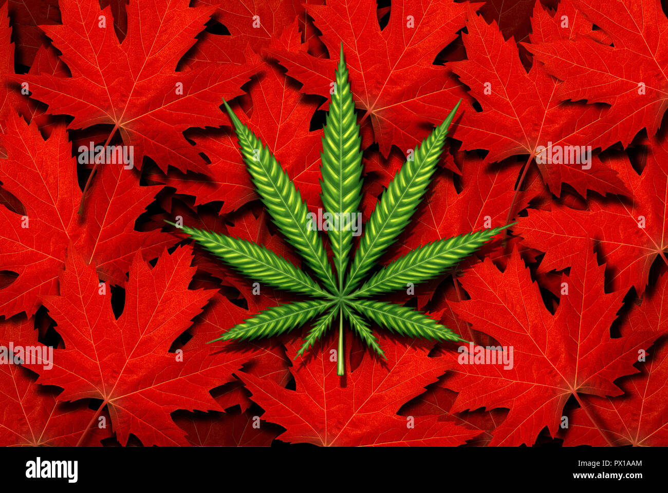 Canada et de cannabis marijuana canadienne concept et le droit et la législation en tant que problème social et médical loisirs de l'icône d'utilisation de mauvaises herbes comme un pot vert. Banque D'Images