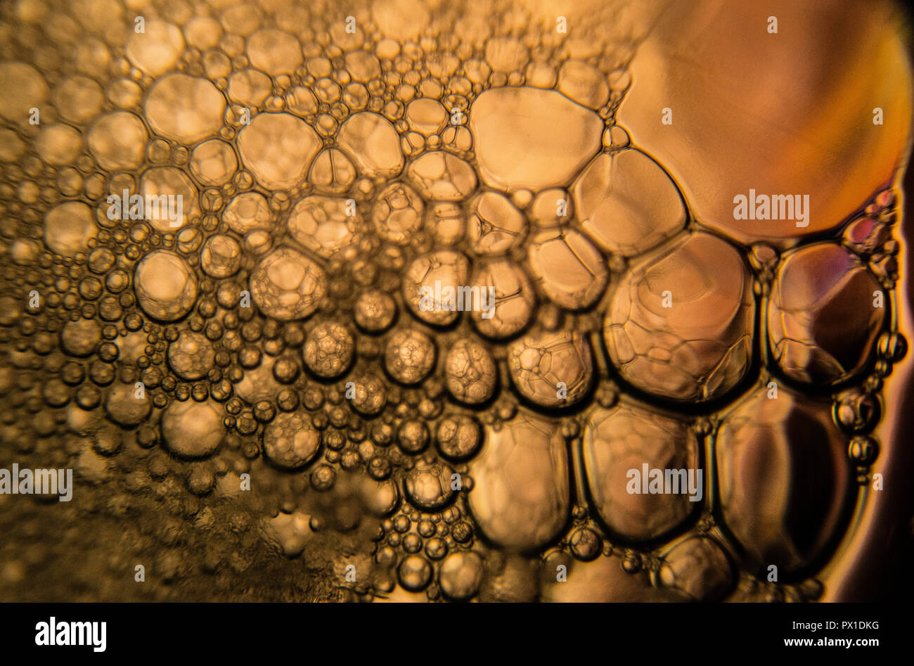 Surface, la macro monde ensorcelant de l'inconnaissable, Macro & Abstract Photography Project Banque D'Images