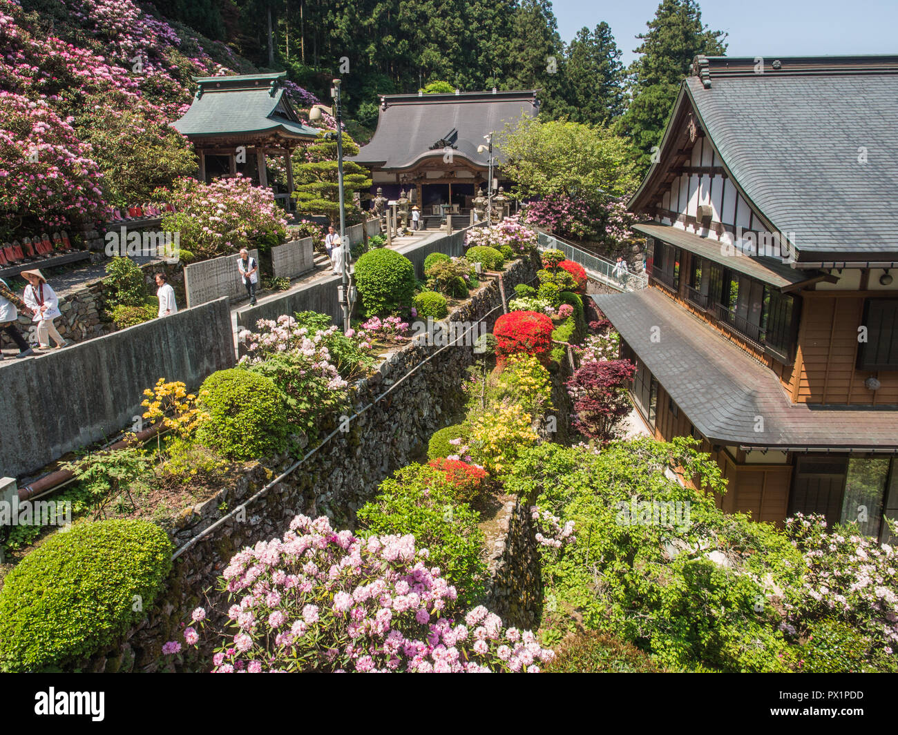 Yokomineji 60 temple, temple 88 Shikoku pèlerinage, Ehime, au Japon Banque D'Images