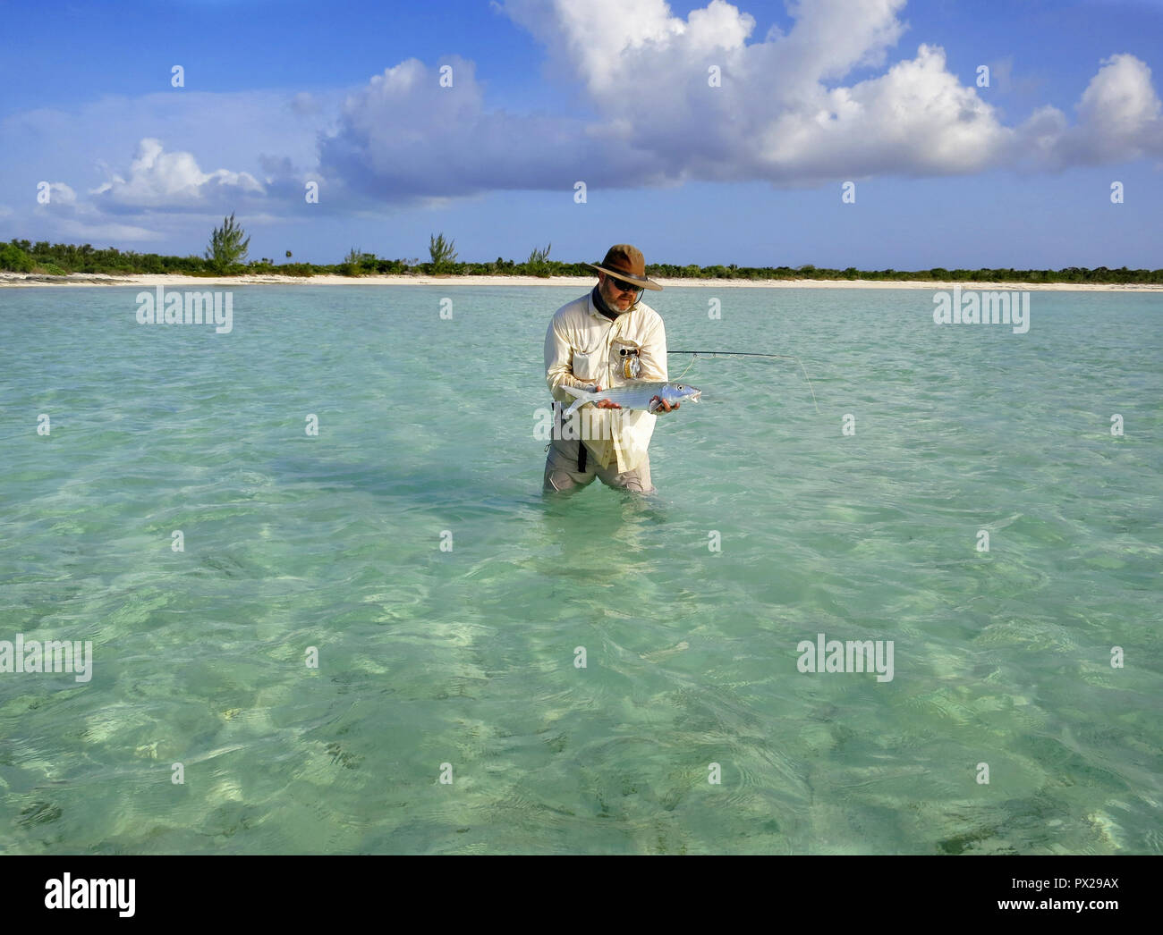 La pêche de mouche pour les bananes de mer peu profonde sur les appartements dans les Bahamas. Banque D'Images