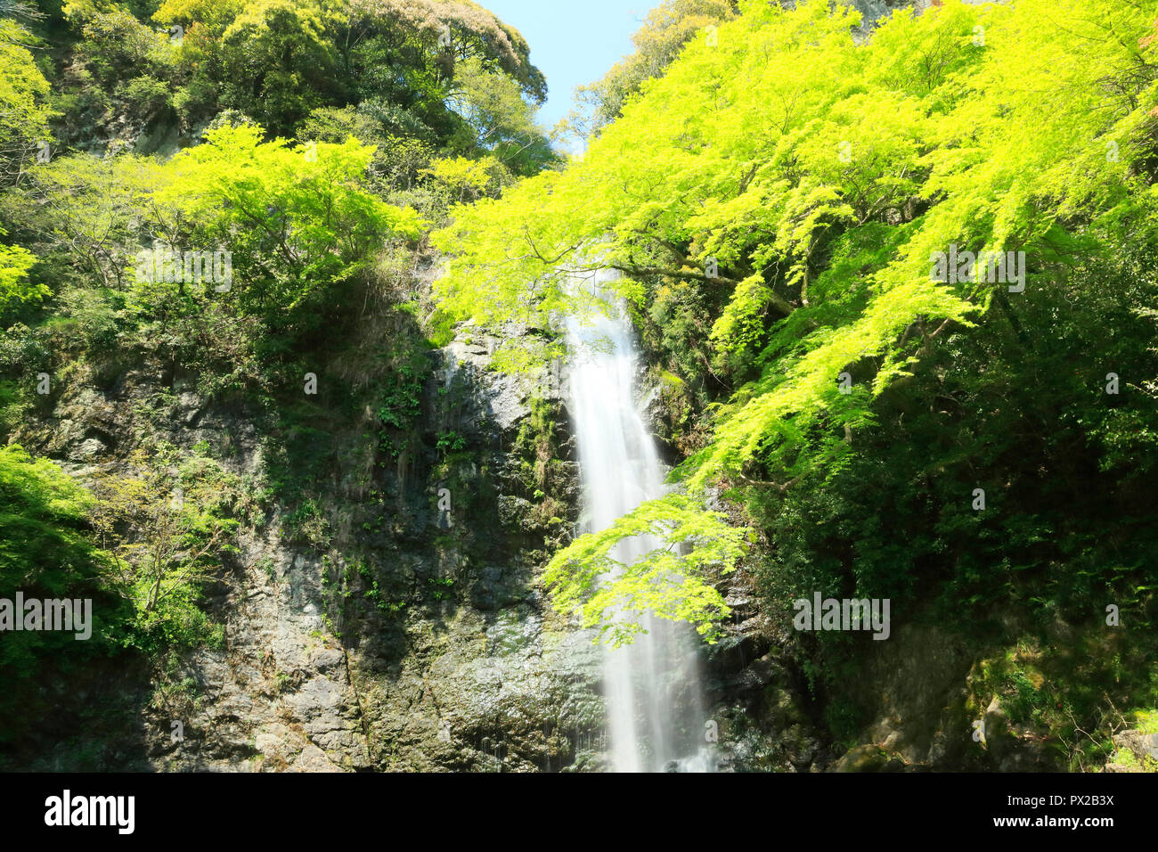 Mino vert frais Falls Banque D'Images