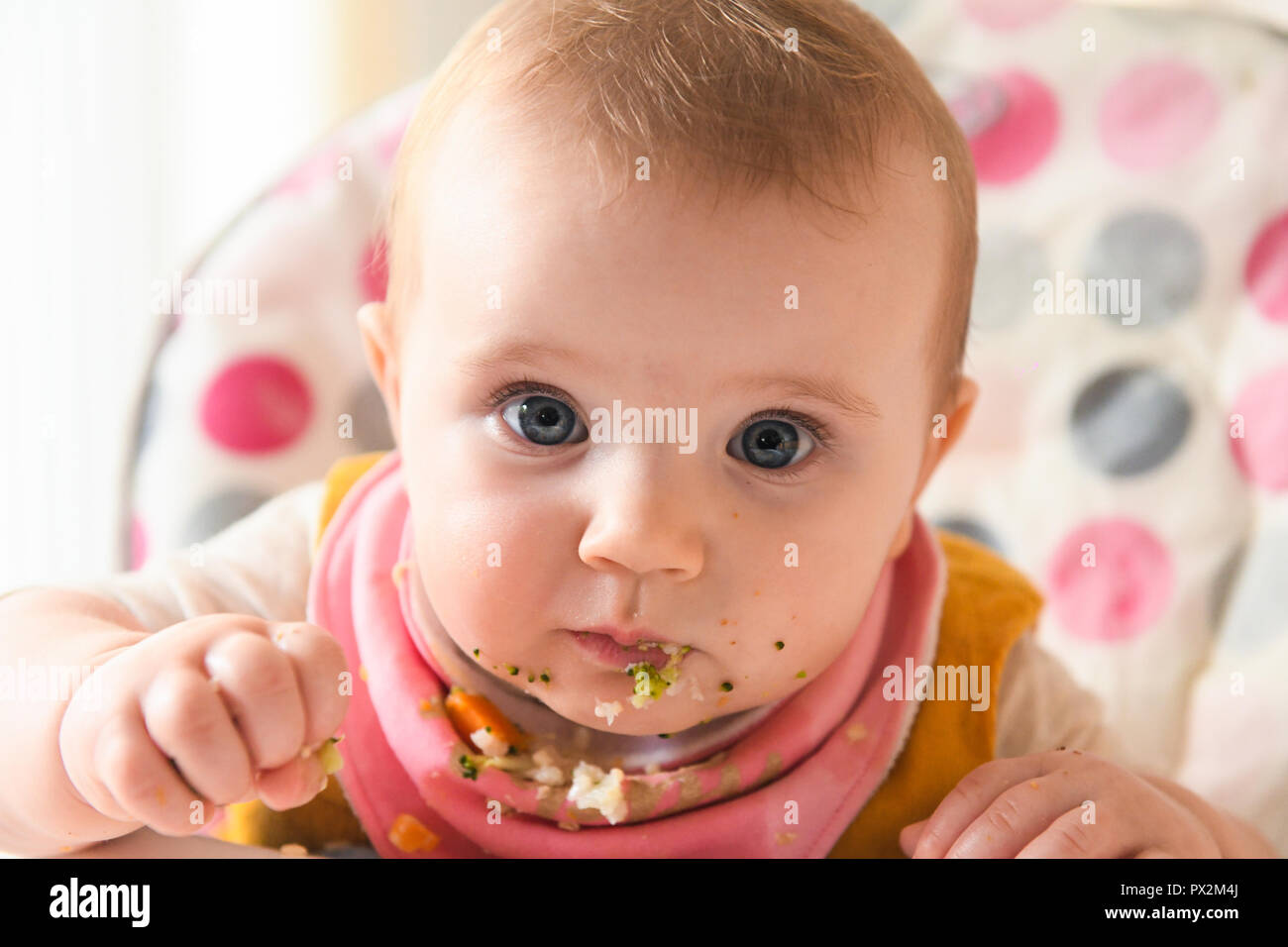 Un Bebe Blanc Avec Des Yeux Bleus Sur La Photo Avec De La Nourriture Sur Le Visage Il Qu Il Commence A Conduit Le Sevrage De Bebe Photo Stock Alamy Un Bebe Blanc Avec Des Yeux Bleus Sur La Photo Avec De La Nourriture Sur Le Visage Il Qu Il Commence A Conduit Le Sevrage De Bebe Photo Stock Alamy