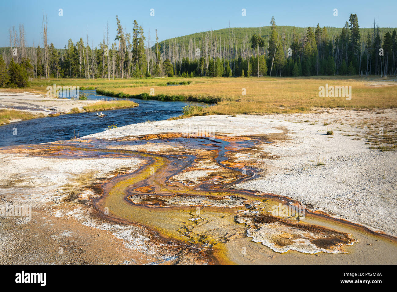 Bassin de sable noir, Parc National de Yellowstone, Wyoming, USA Banque D'Images