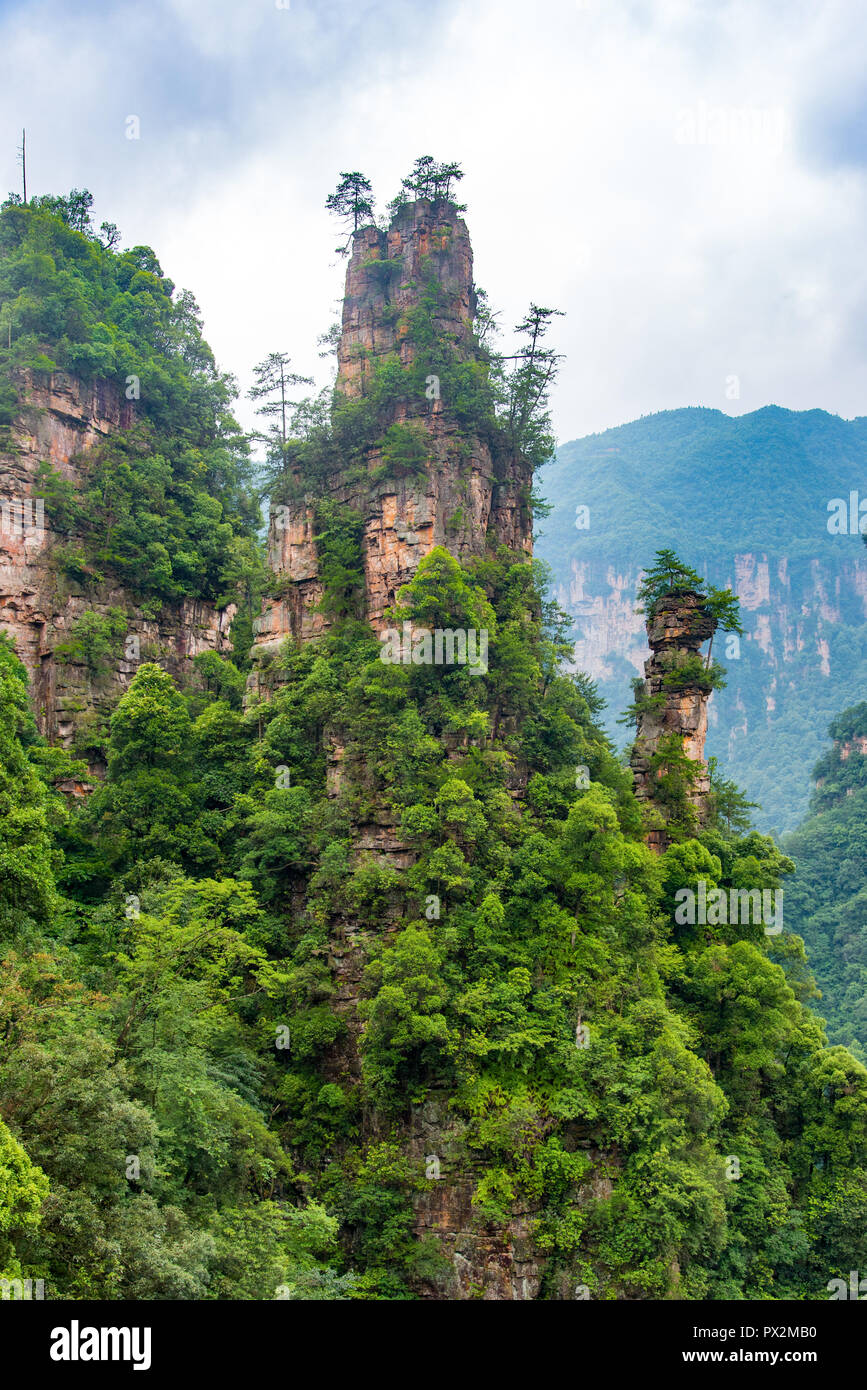 Des montagnes de grès vue du sentier du 10 km Galerie Naturelle de Tianzi Mountain. Wulingyuan Scenic Area, Zhangjiajie, Hunan, Chine. Banque D'Images