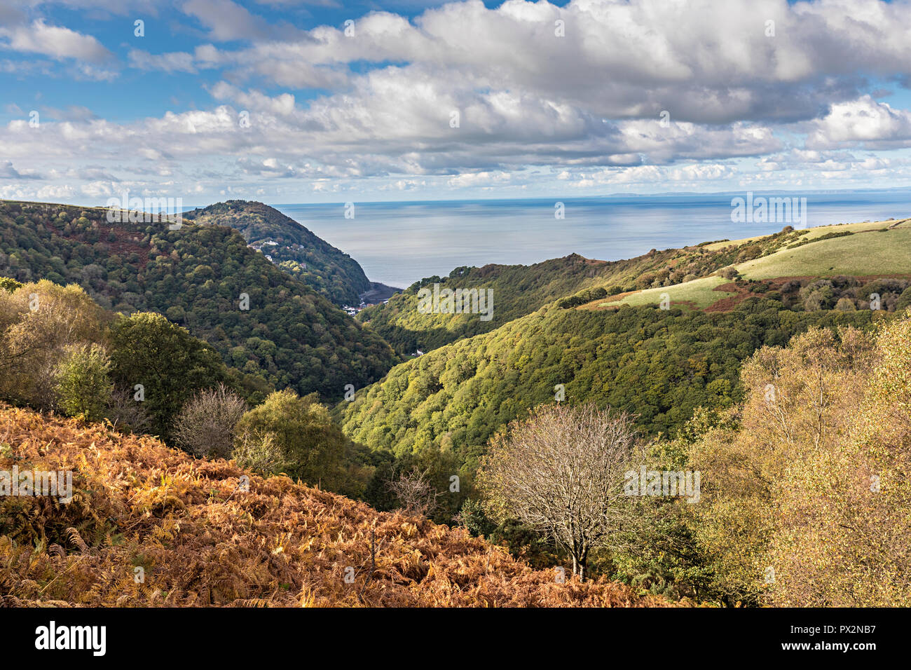 Regardant vers le bas sur le Lynton Two Moors Way, Exmoor, England, UK Banque D'Images