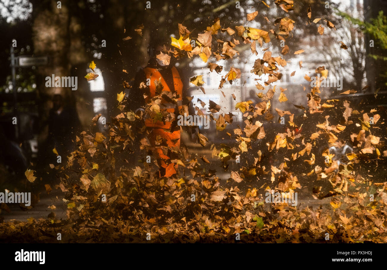 Hanovre, Allemagne. 19 Oct, 2018. Un employé de l'aah Zweckverband Abfallwirtschaft Region Hannover supprime les feuilles sur un trottoir. Crédit : Peter Steffen/dpa/Alamy Live News Banque D'Images