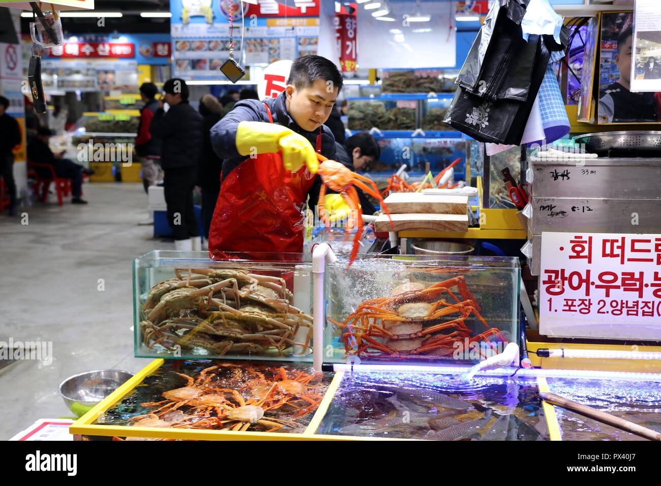 Garak Market à Séoul, Corée Banque D'Images