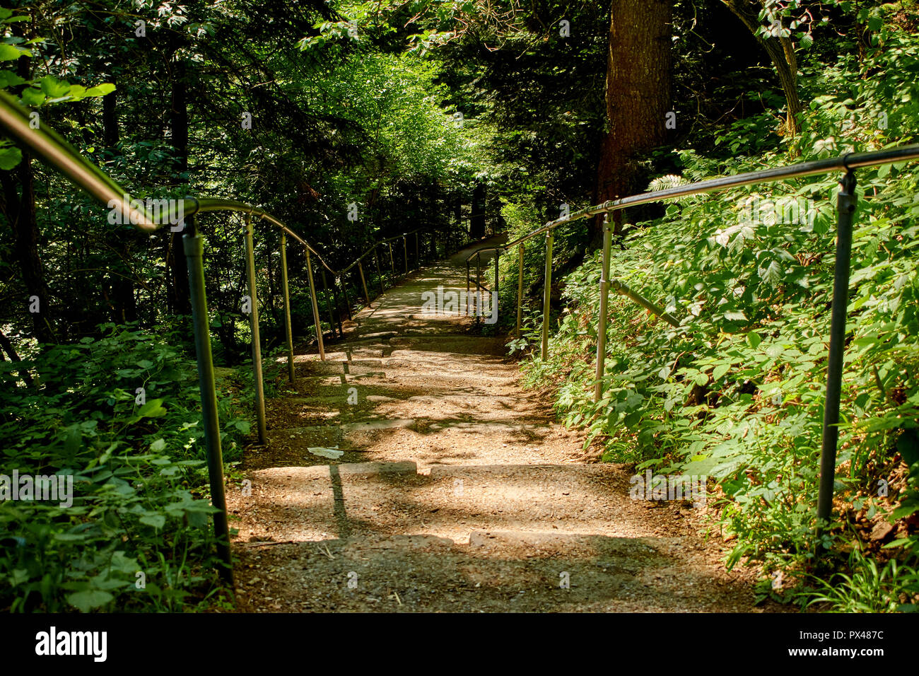 Sentier de randonnée dans les montagnes de l'Autriche (Pfänder, Bregenz) Banque D'Images