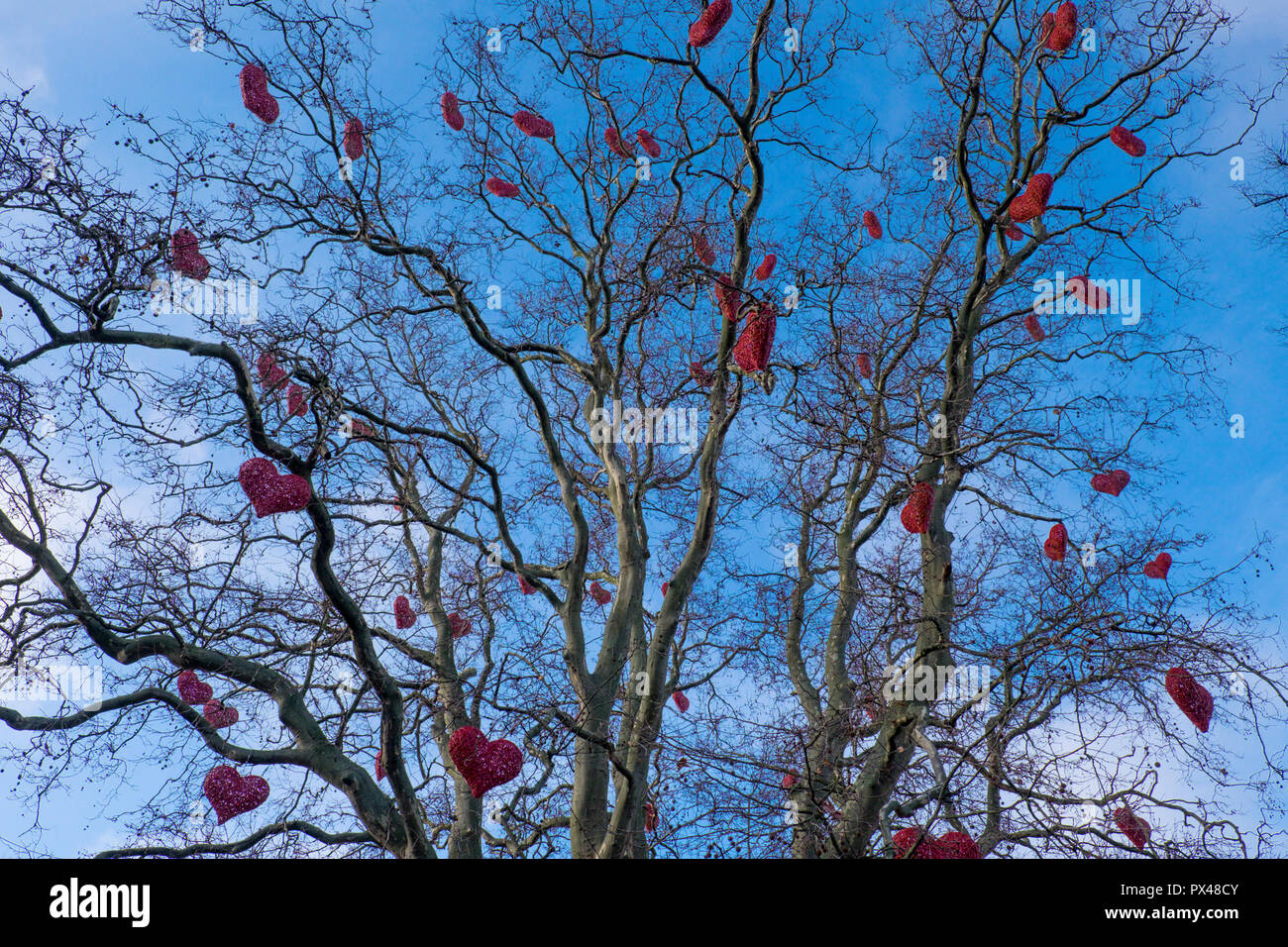 Amour coeur rouge attaché dans les branches d'un arbre, Malmo, Suède Banque D'Images
