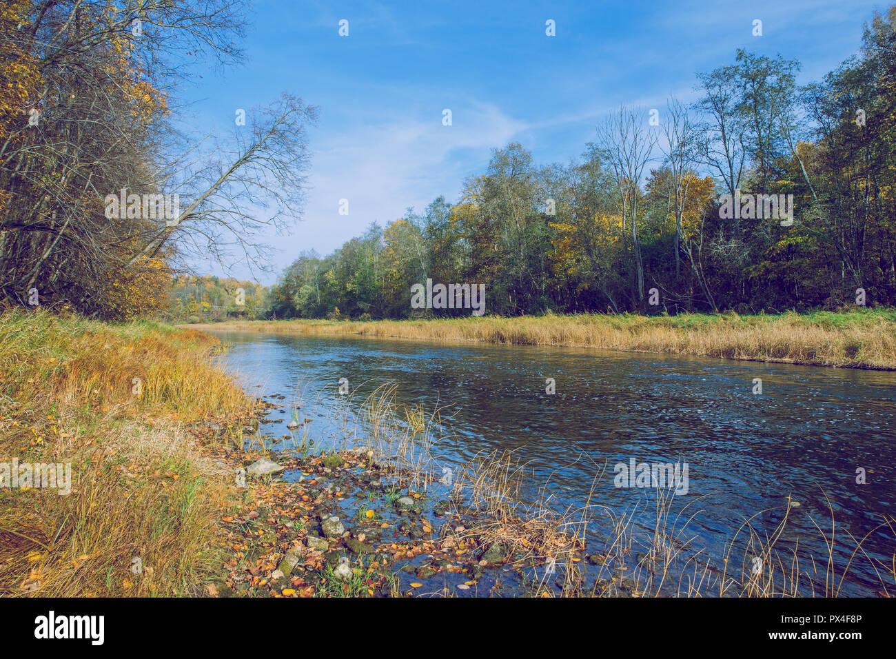 Viresi ville, en Lettonie. Arbres et rivière, l'automne et les jours ensoleillés. Billet photo de la nature en 2018. Banque D'Images