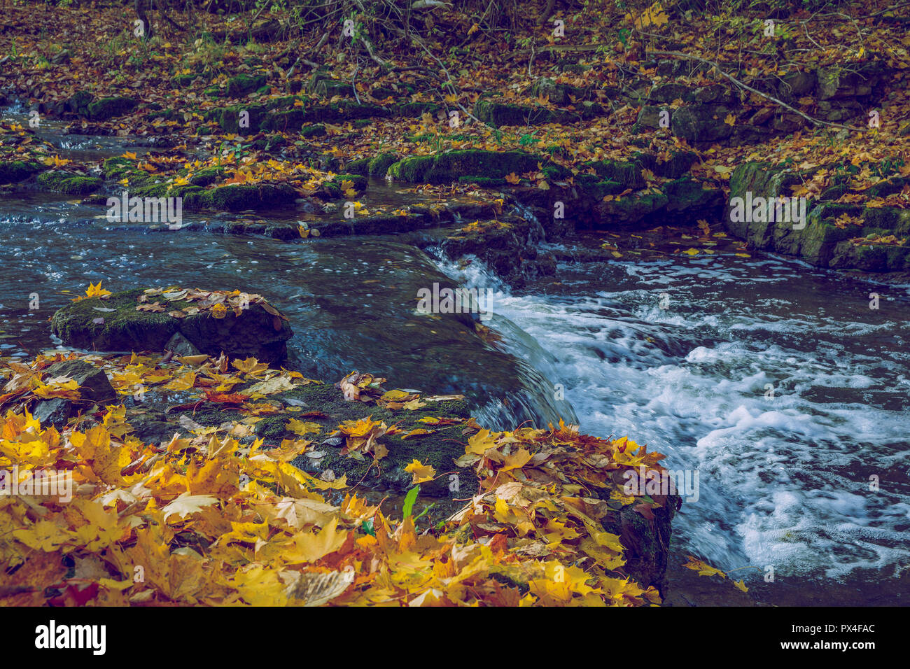 Viresi ville, en Lettonie. Arbres et rivière, l'automne et les jours ensoleillés. Billet photo de la nature en 2018. Banque D'Images