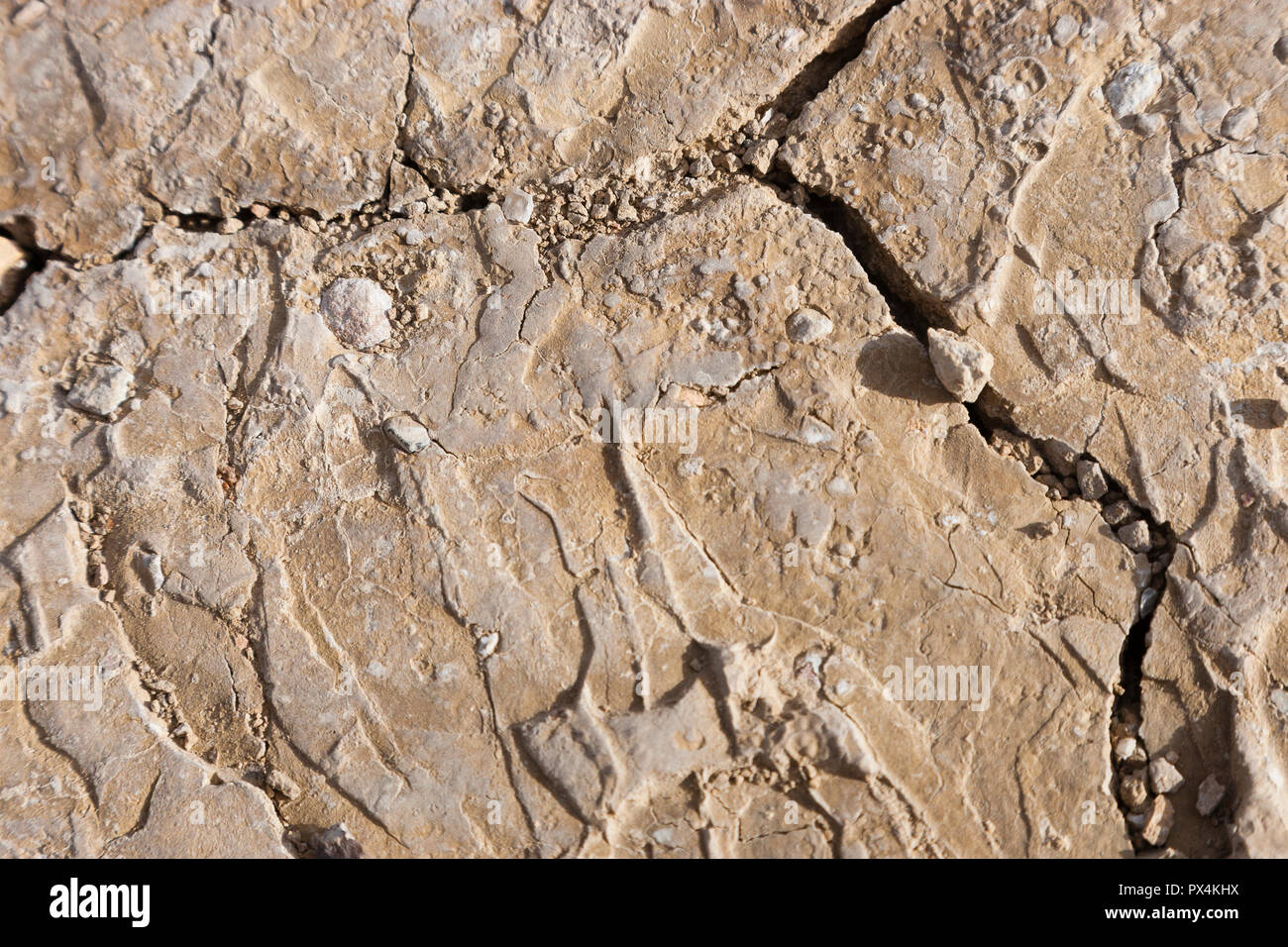 Alstrom Point, AZ, États-Unis d'Amérique. Vue détaillée de roches desséché dans le désert. Banque D'Images