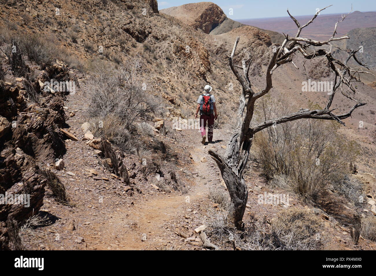 Wanderer, OliveTrail, Naukluft Gebirge, parc de Namib Naukluft, Namibie, Afrique Banque D'Images