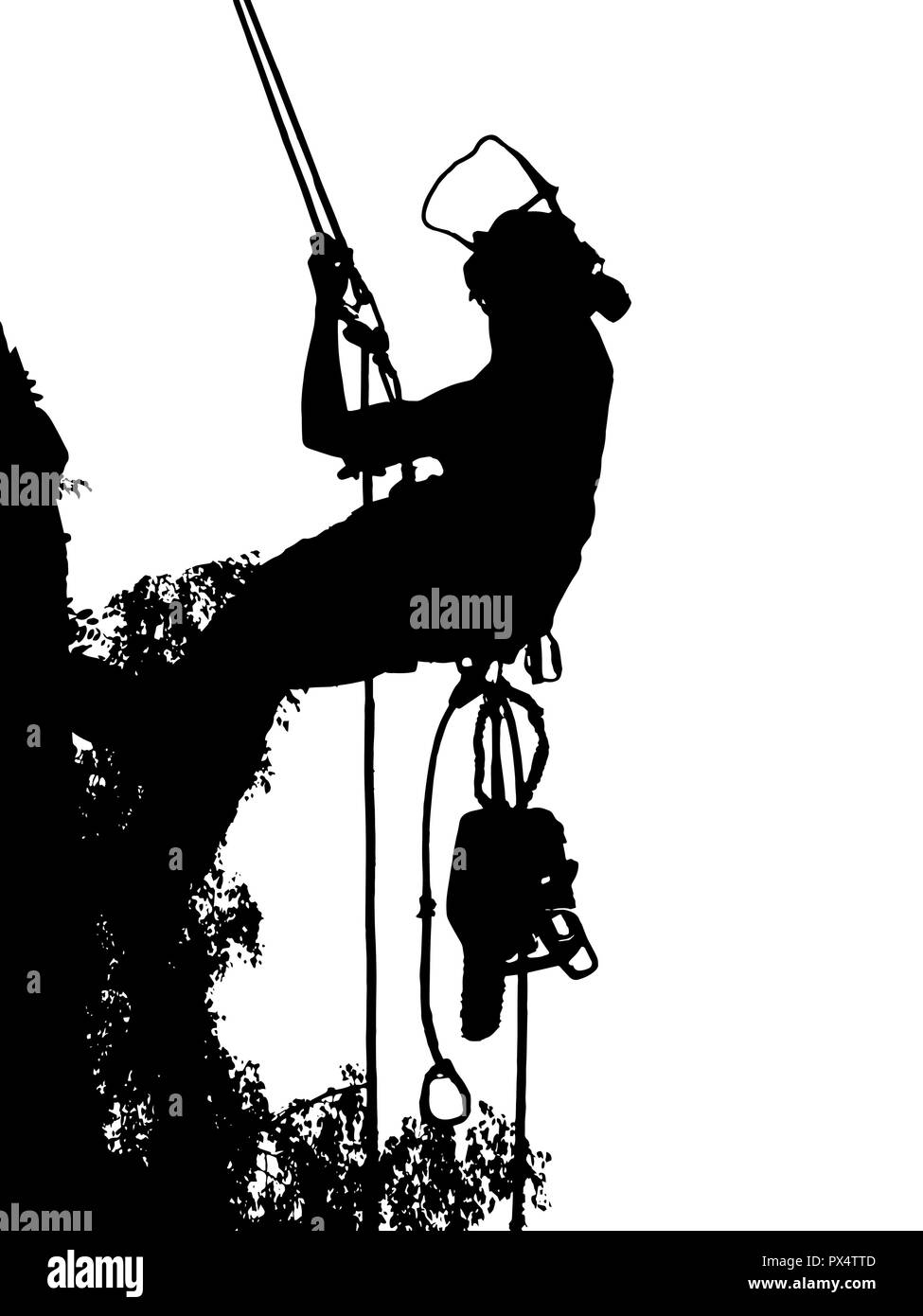 Femme Tree Surgeon contrôler sa sécurité corde jusqu'un arbre. L'arboriste est porteur d'une scie à chaîne. Illustration de Vecteur Femme Tree Surgeon contrôler sa sécurité corde jusqu'un arbre. L'arboriste est porteur d'une scie à chaîne. Illustration de Vecteur