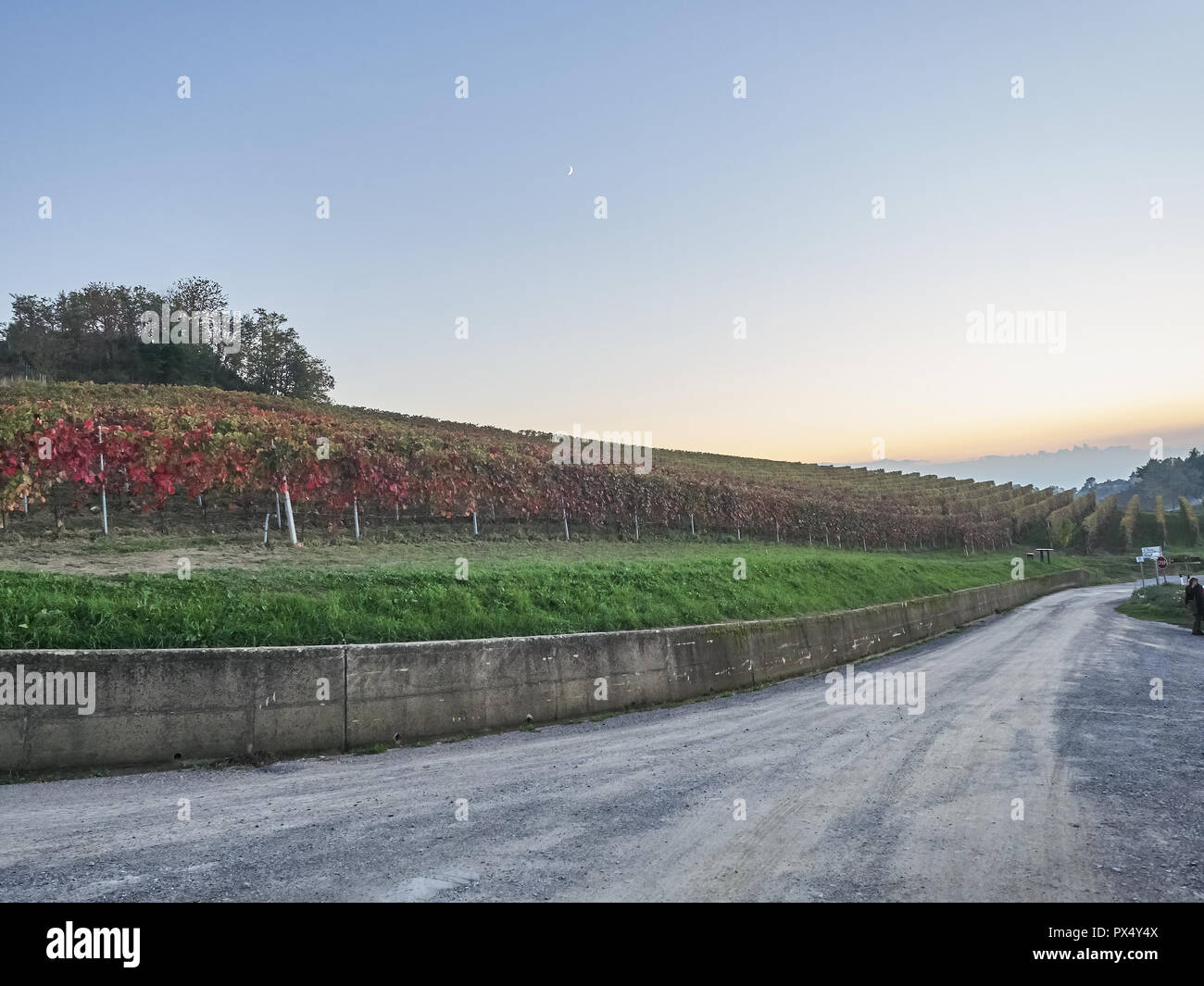 Vue sur le paysage des Langhe, un countryisde Pedmont dans très populaires en raison des bons vins et de l'alimentation Banque D'Images